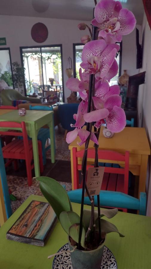 El Bodegon Hostal Boutique (Adults Only) Punta Del Diablo Luaran gambar